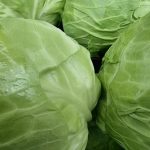 Hogyan lesz a káposztából szóda: a feledésből visszahozott ősi módszer hogyan-lesz-a-kaposztabol-szoda-a-feledesbol-visszahozott-osi-modszer.jpg